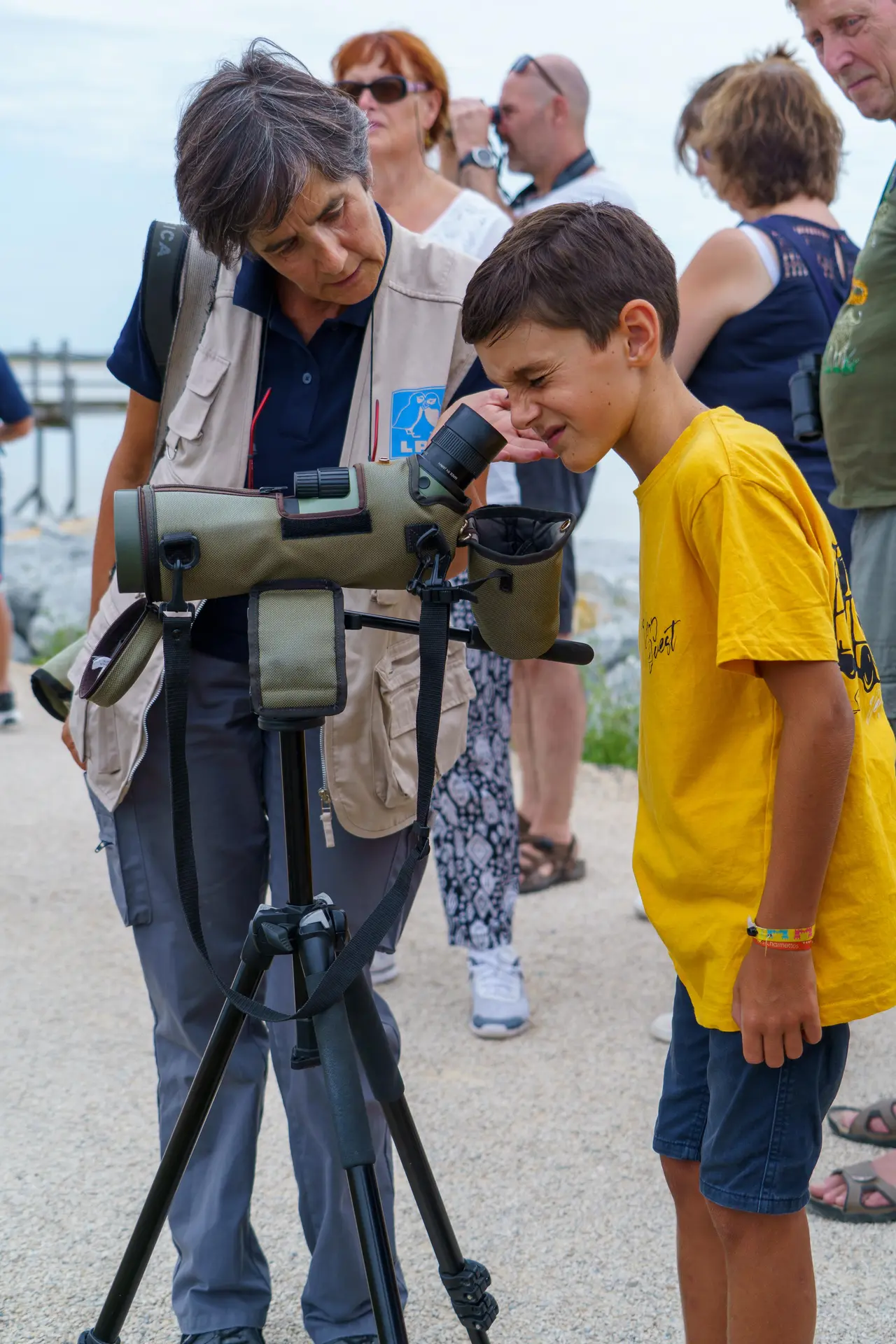 Visite guidée pour observer les oiseaux du littoral à Châtelaillon-Plage
