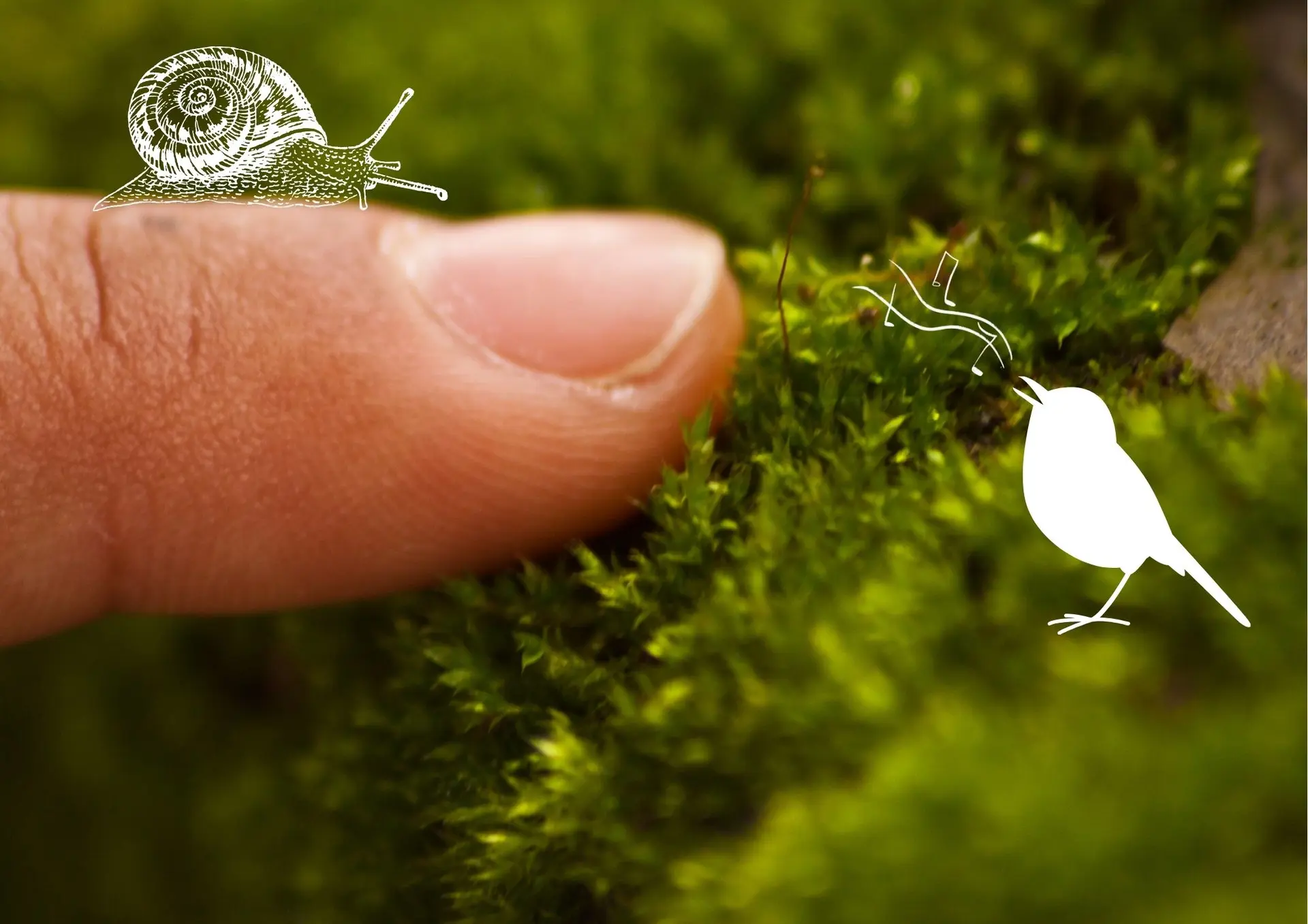 Sentir et toucher le vivant - Renc'arts BdL