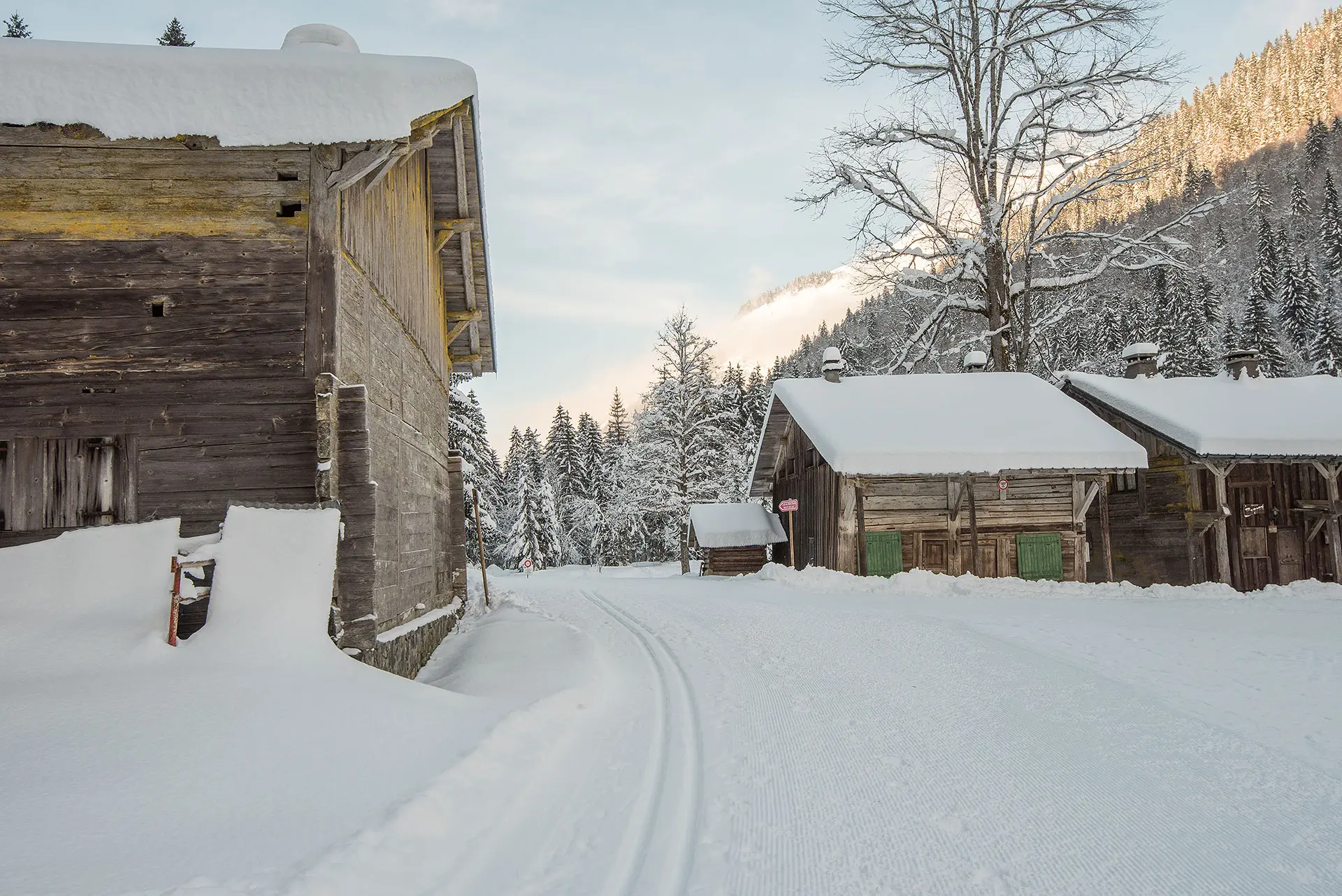 Ski de fond au milieu des vieux chalets des Albertans