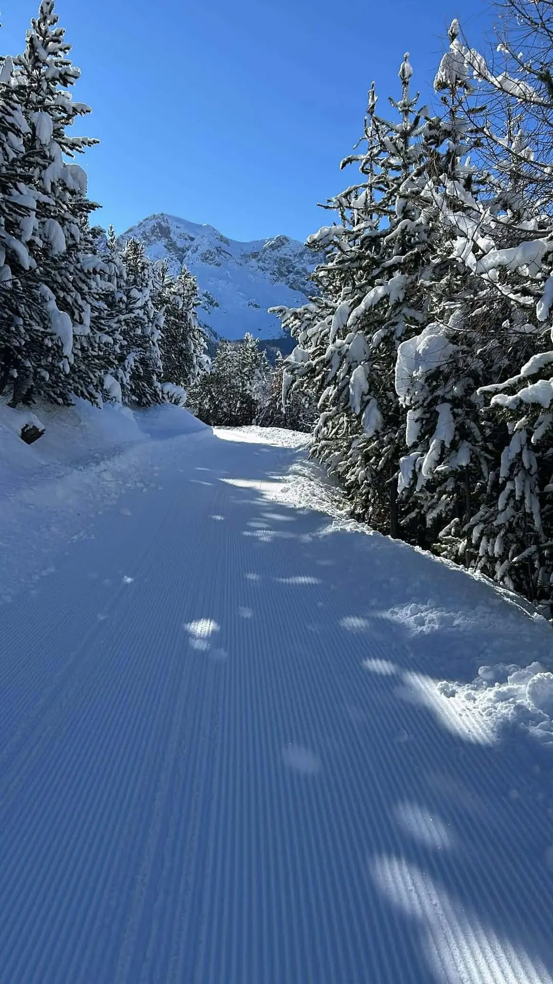 Les intégrales de l'espace nordique du Queyras - Bois Noir_Ceillac