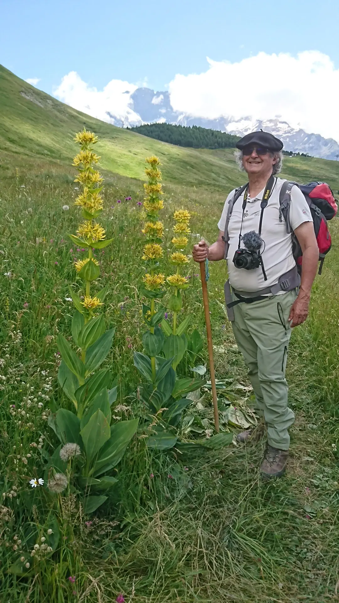 Sur le plateau d'Emparis