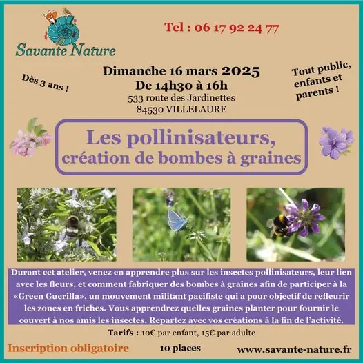 Savante Nature : les pollinisateurs, création de bombes à graines_Villelaure