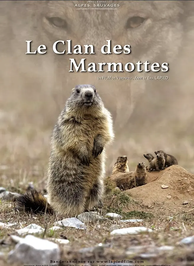 Le Clan des Marmottes
