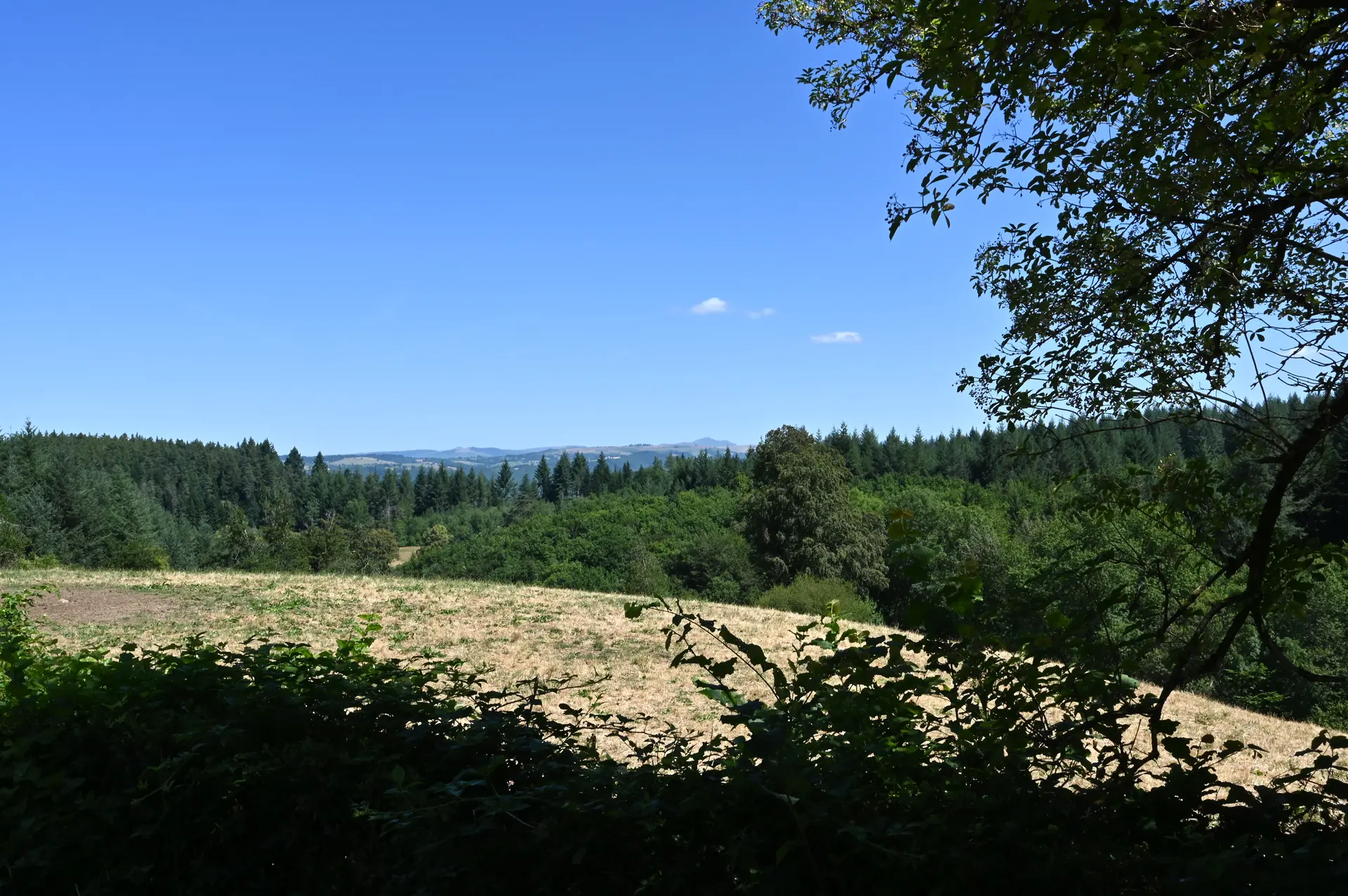 Paysage vallonné