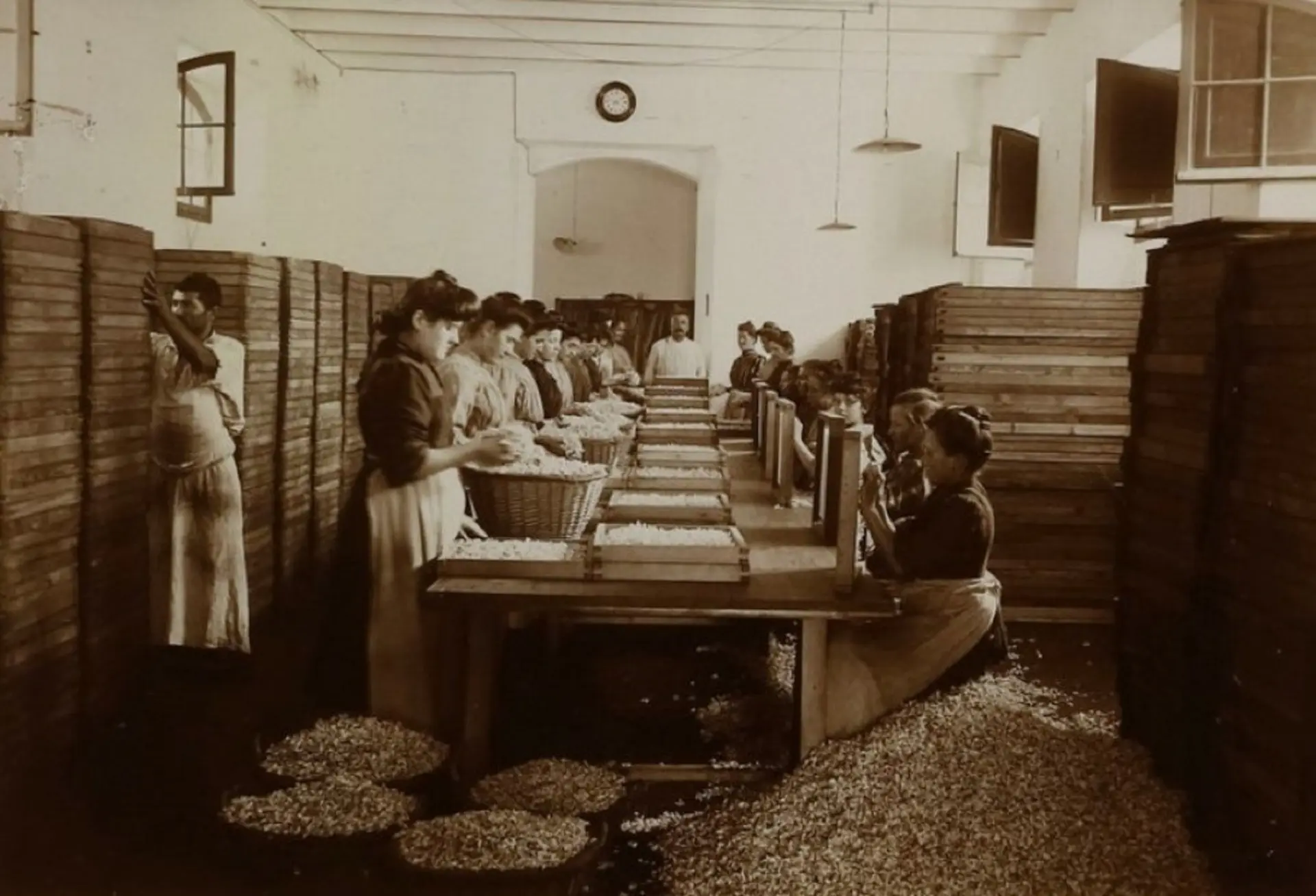 L'intérieur de la Parfumerie de Seillans