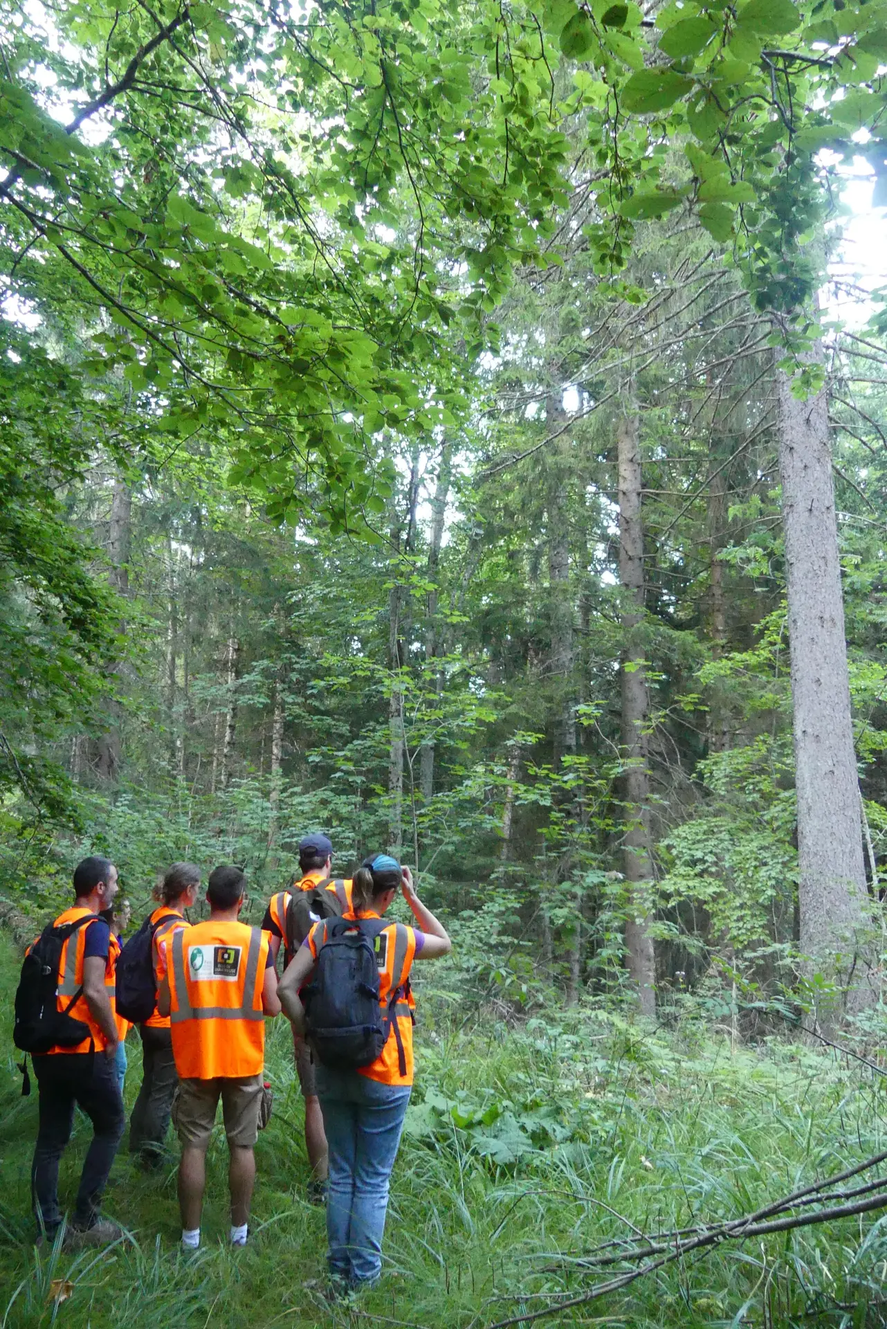 Visite forestière