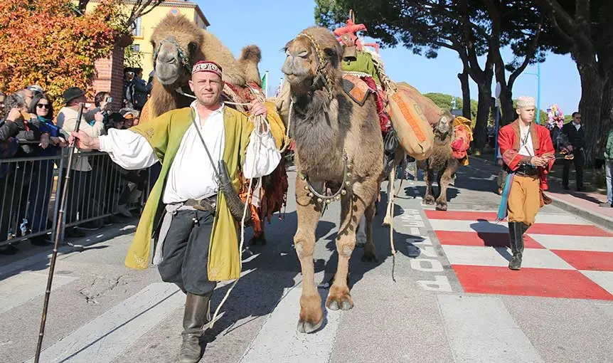 Fête du Mimosa : Grand Corso Fleuri