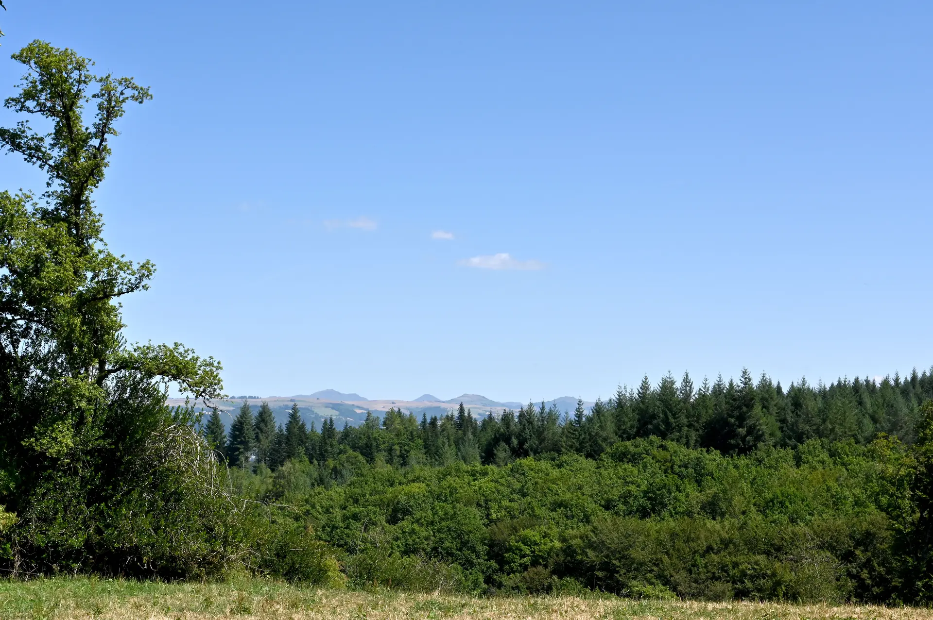 Paysage vallonné