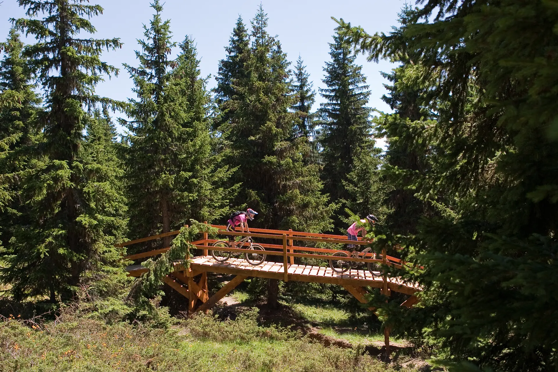 DH VTT Dré dans l'pentu
