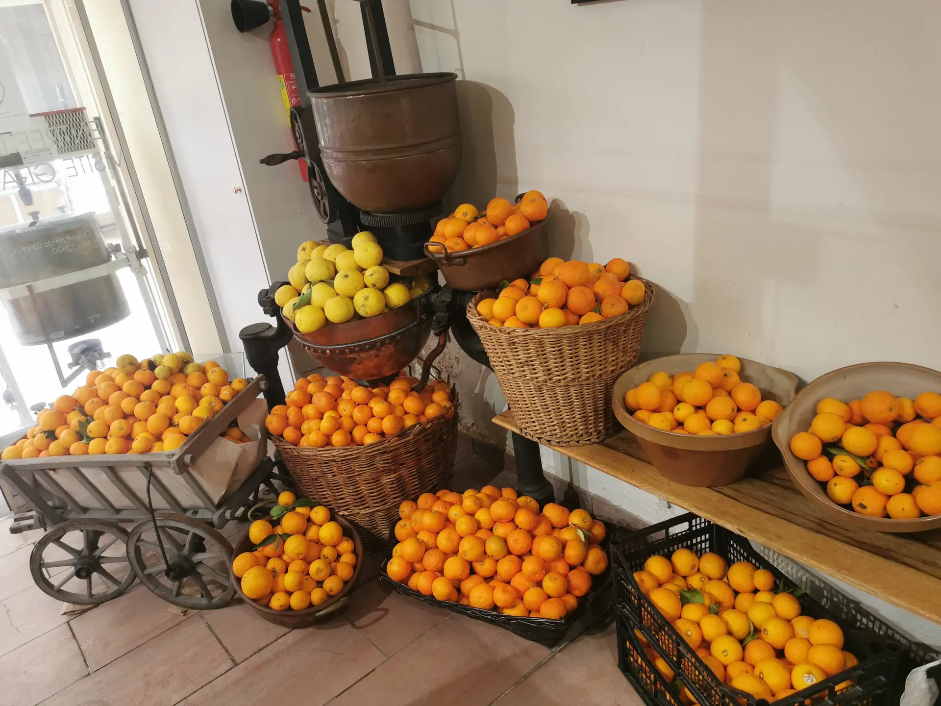 Arrivée des agrumes à la fabrique