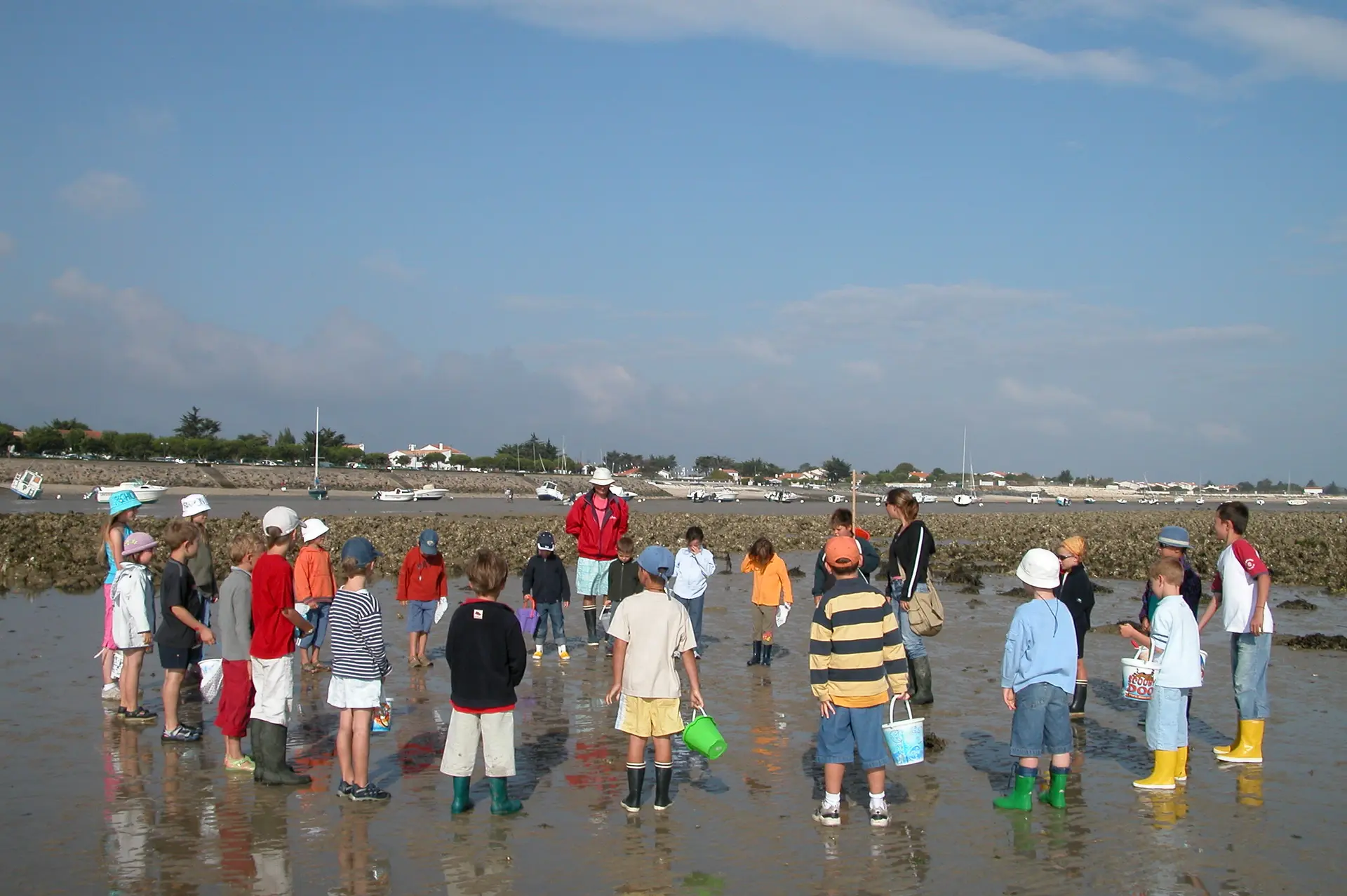 Découverte de l'estran