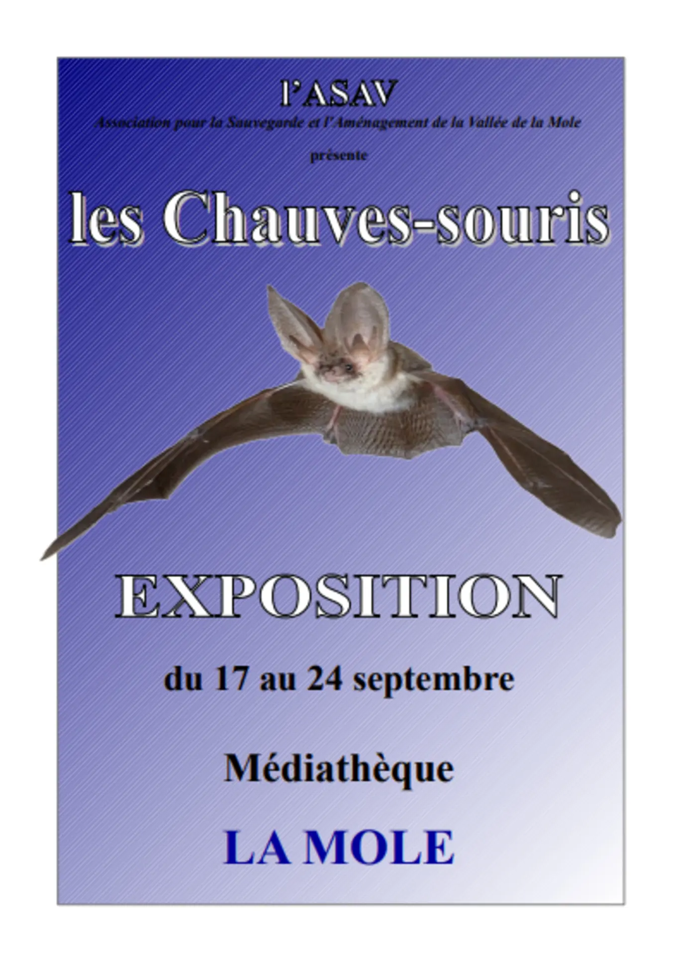 EXPO