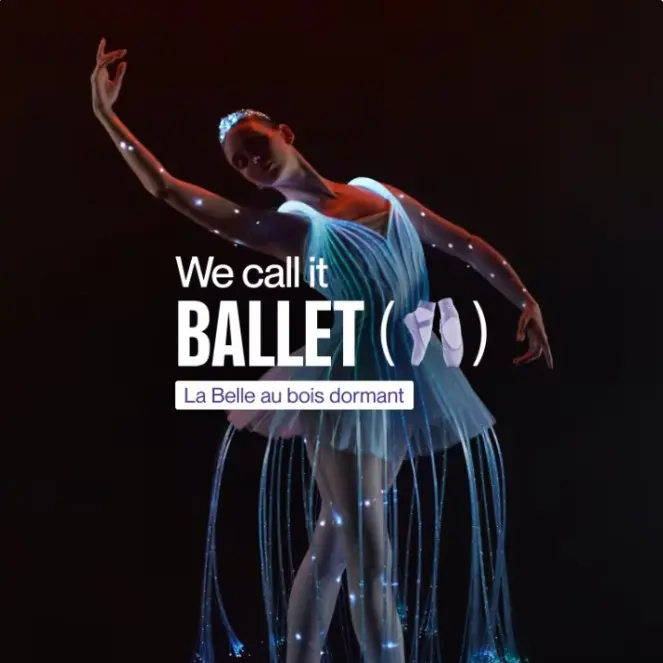 We call it Ballet: la Belle au bois dormant_Avignon