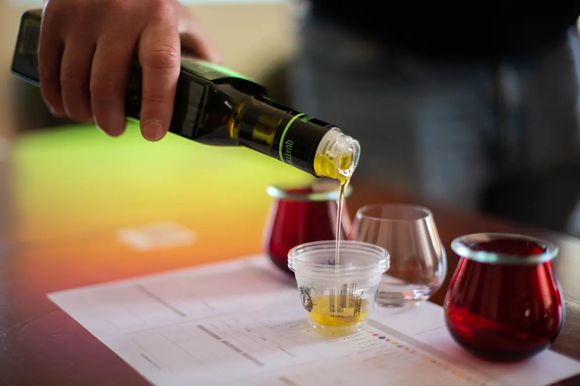 Rencontre gourmande ·  dégustation et initiation à l’oléologie_Avignon