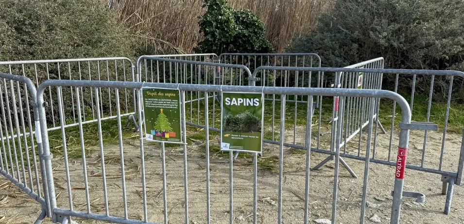 Espace aménagé - dépôt de sapins