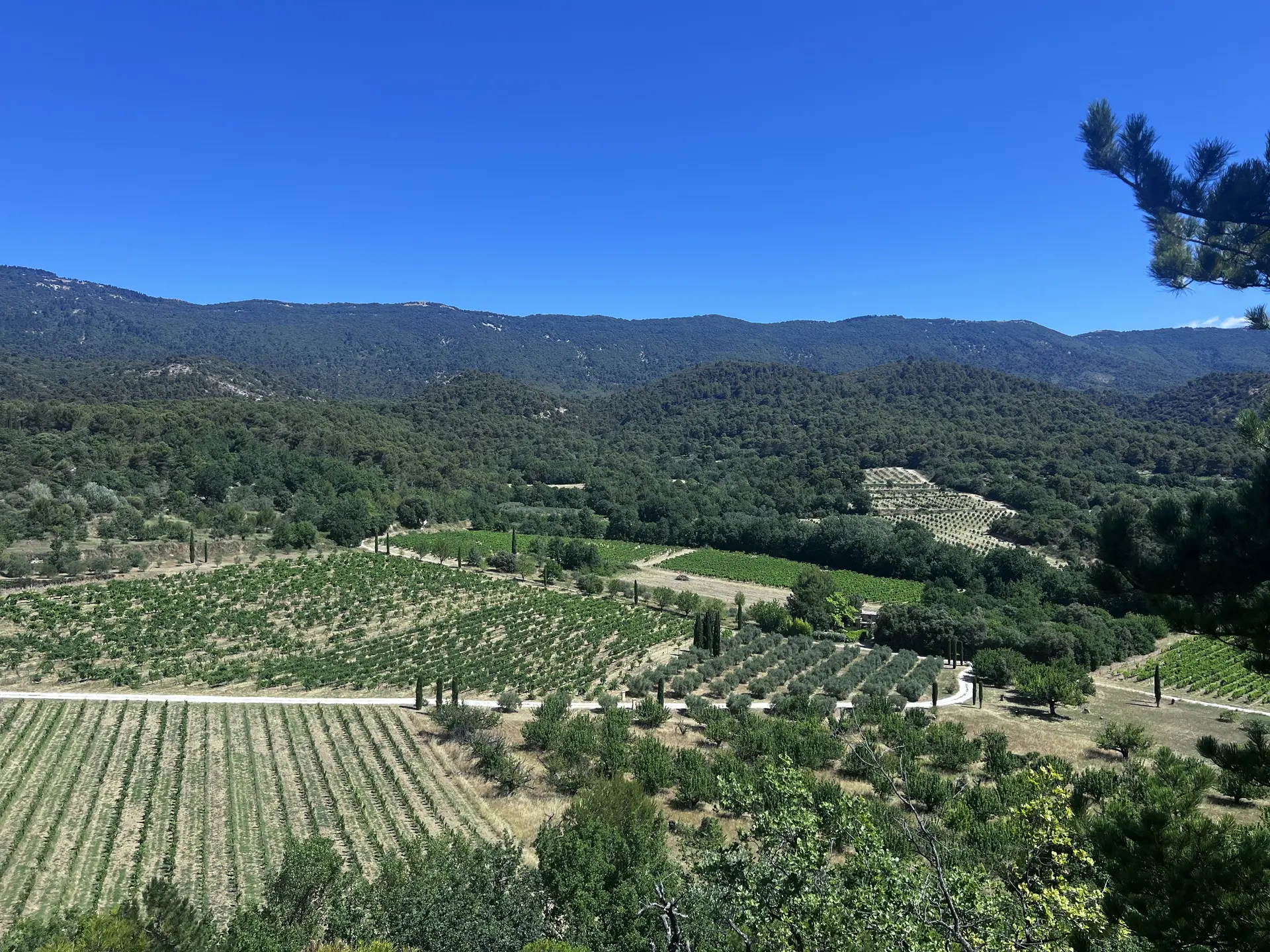 Stage Trail Luberon à Cabrières d 'AIgues_Cabrières-d'Aigues