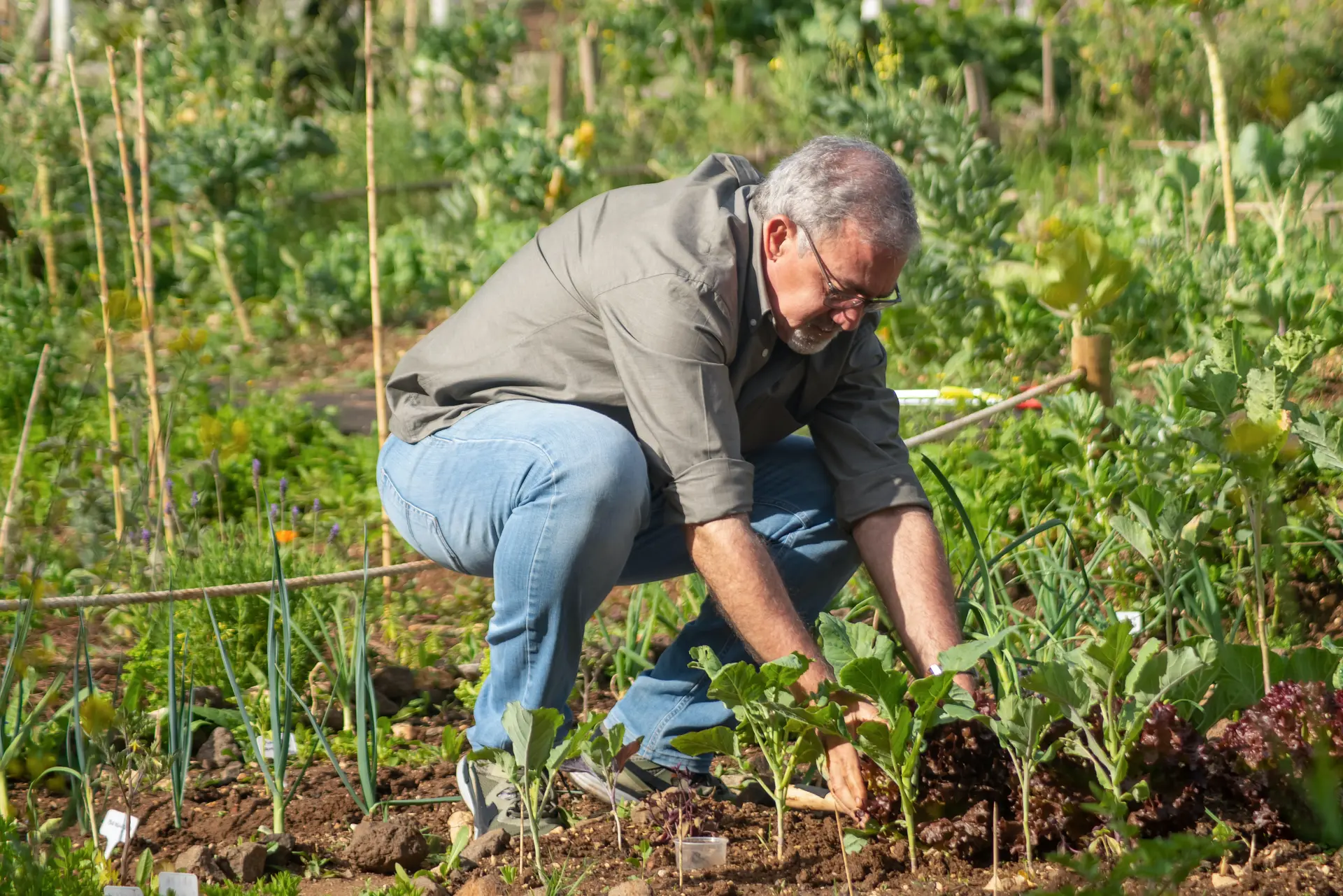 Jardinage