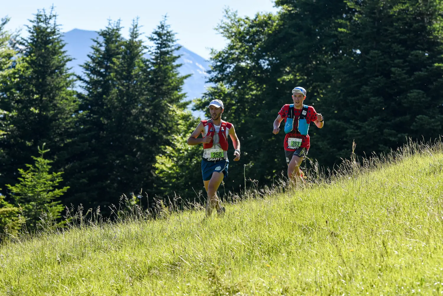Trail du Col du Noyer