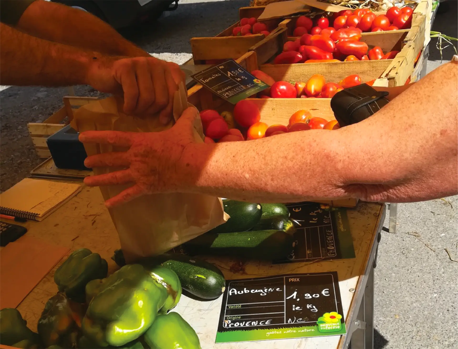 Légumes Bio et de saison