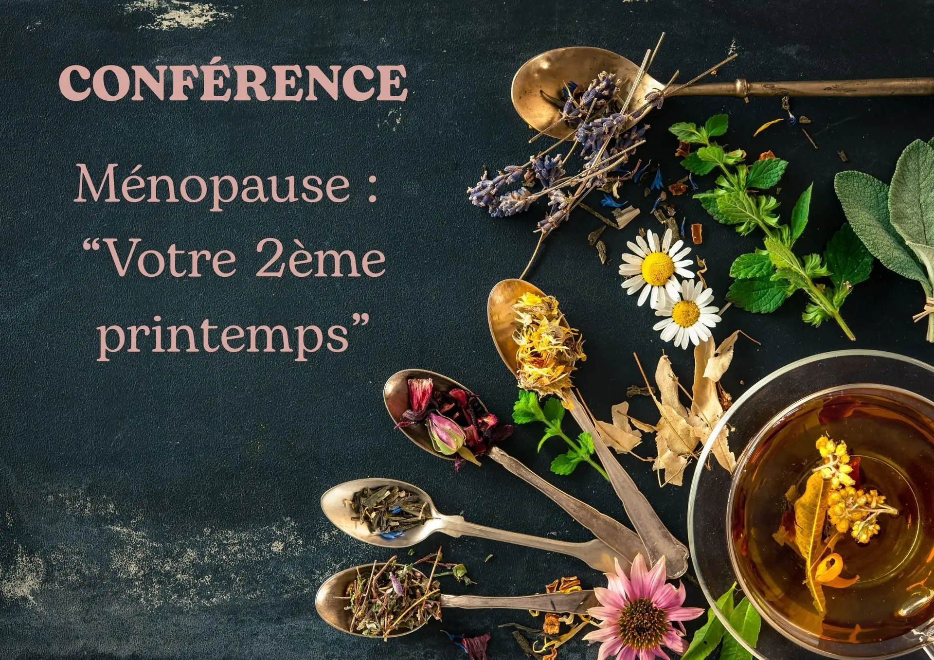 Conférence : cap sur votre 2ème Printemps : Et si cette étape devenait une force ?_Le Touvet