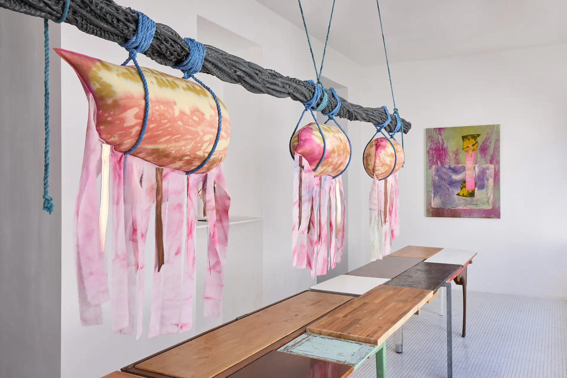 Exposition « Fuegophillia », d’Amandine Guruceaga_Rayol-Canadel sur Mer