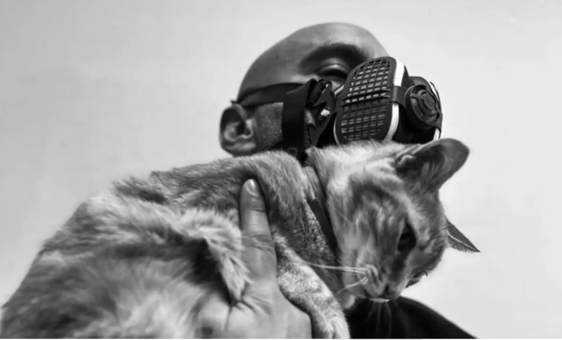 Un chat dans les bras de Grems