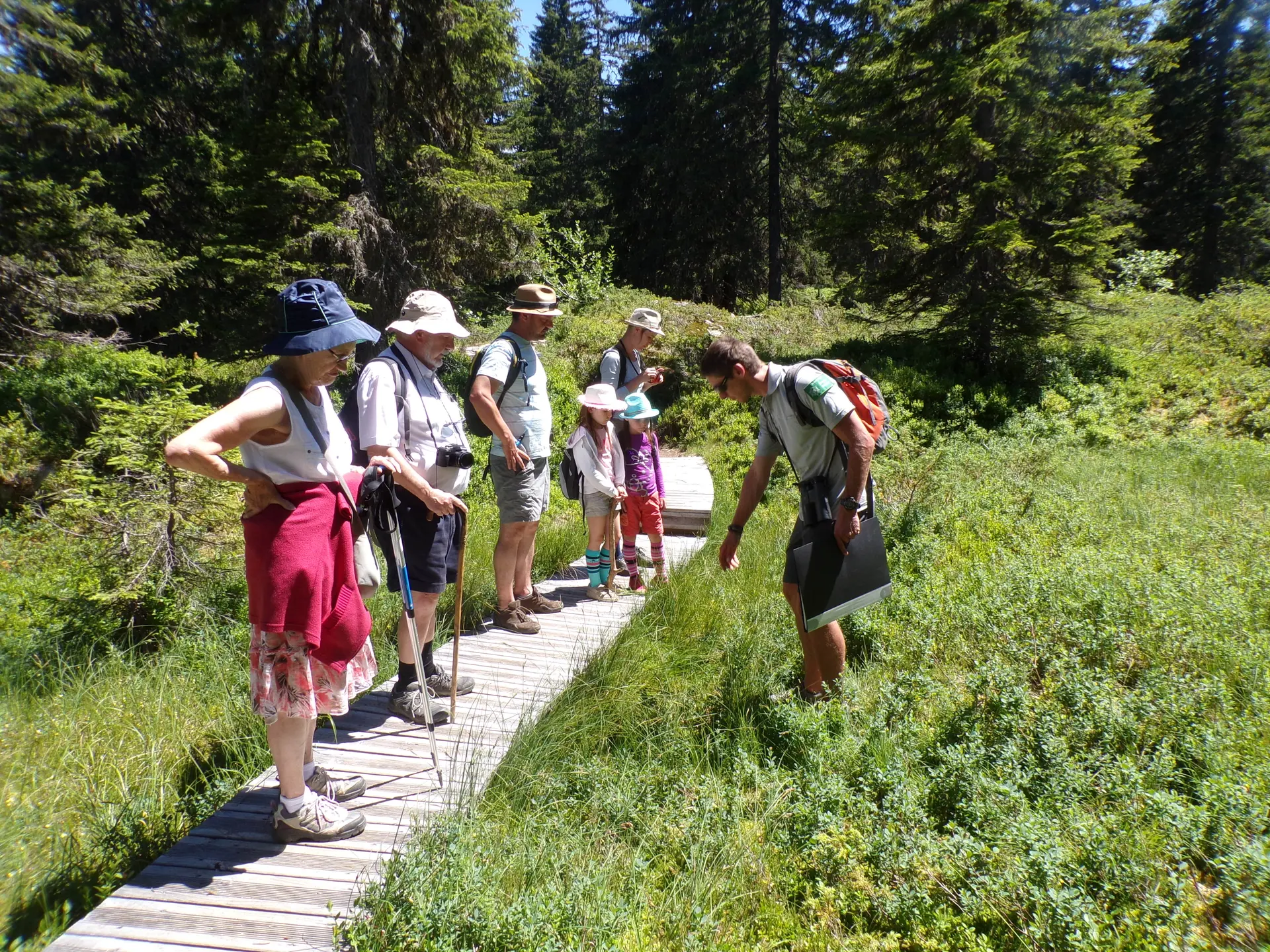 Visite guidée du sentier flore et milieu naturel