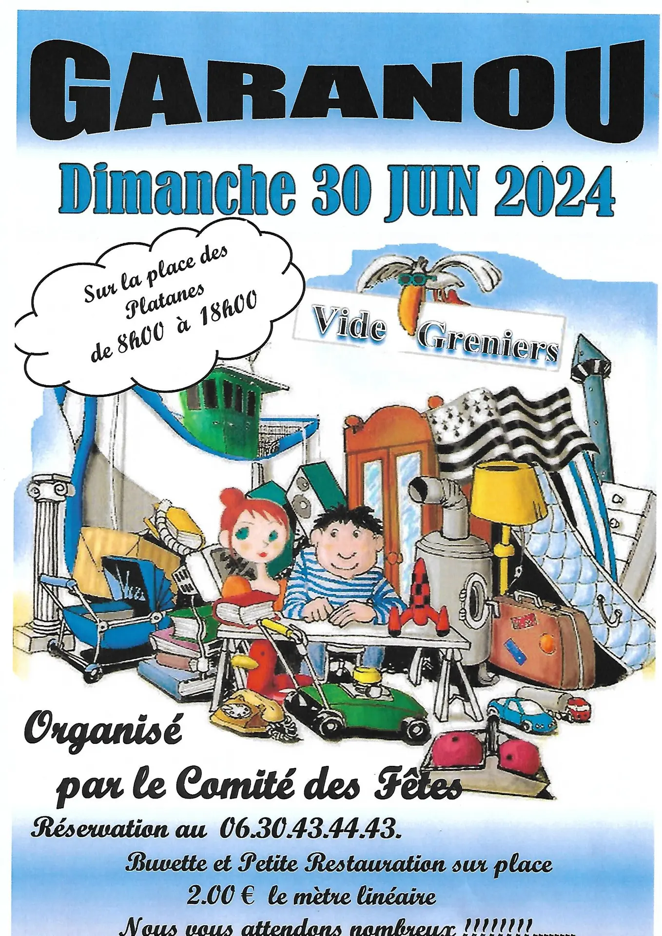 Vide Grenier