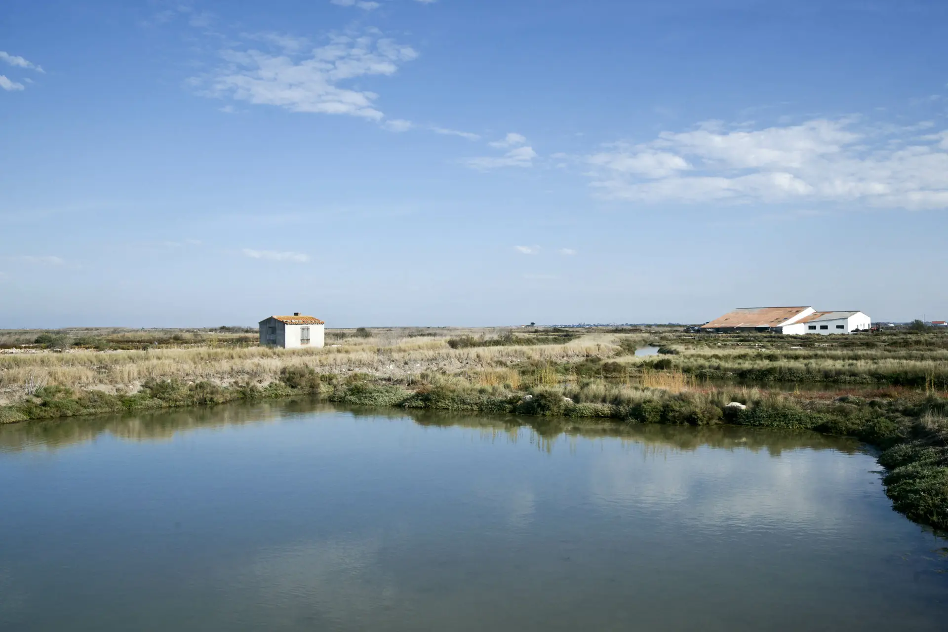 Chantier participatif dans les marais de Loix avec les écogardes_Loix