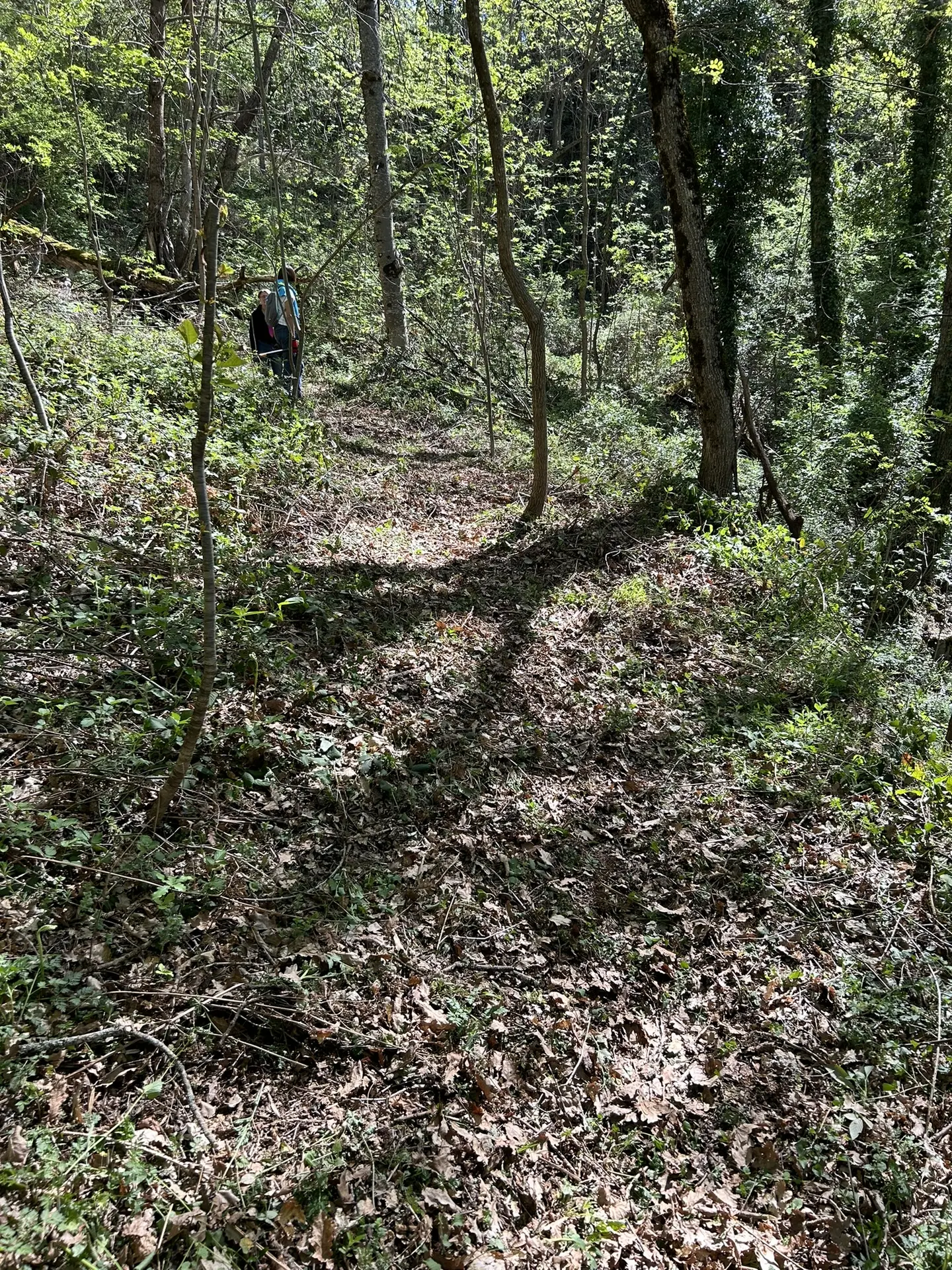 le chemin de la quere