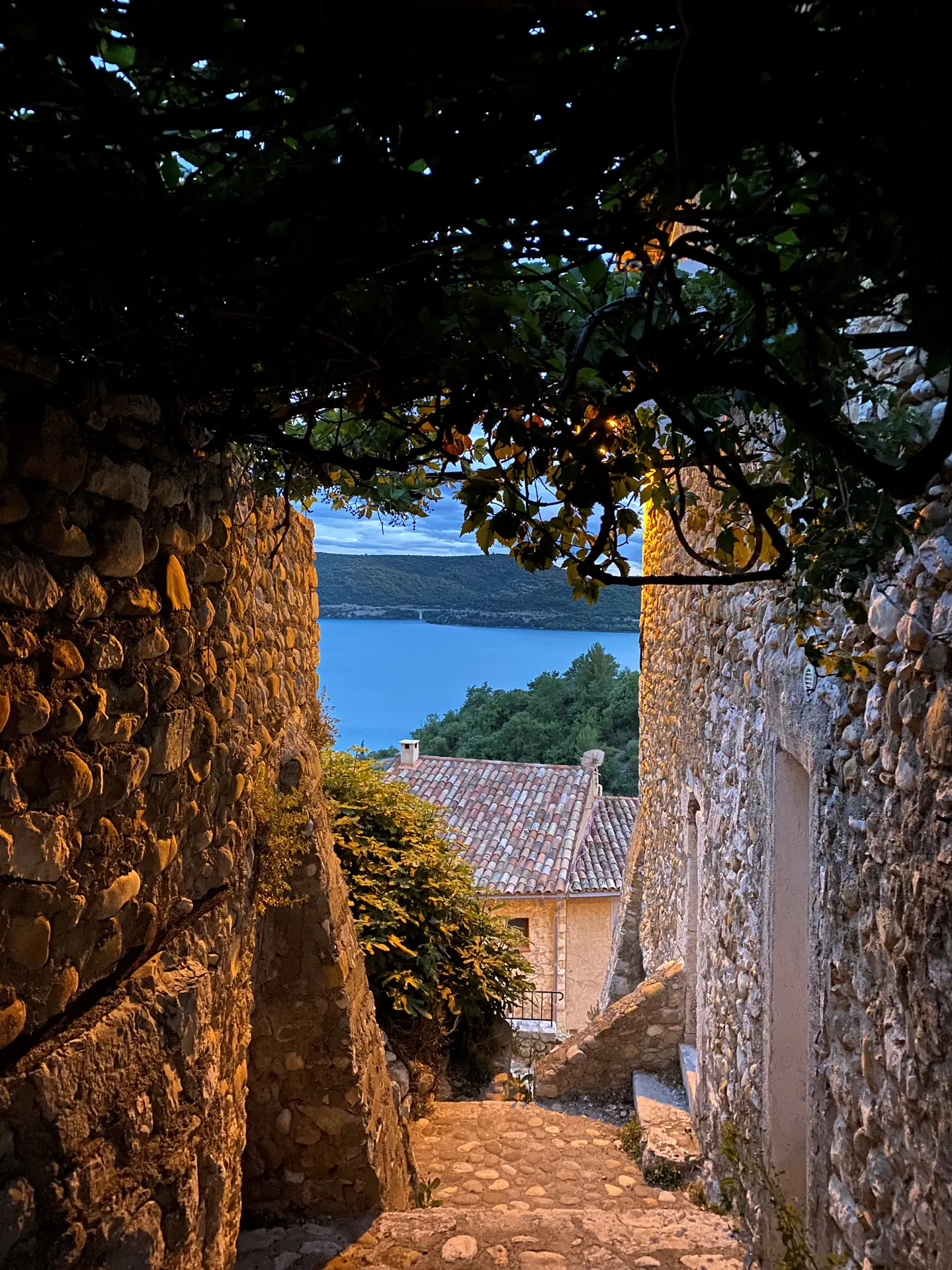 Ruelle