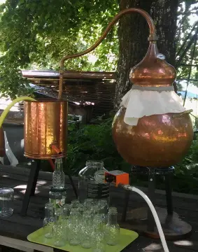 Démonstration : Secret d'hydrolat et distillation