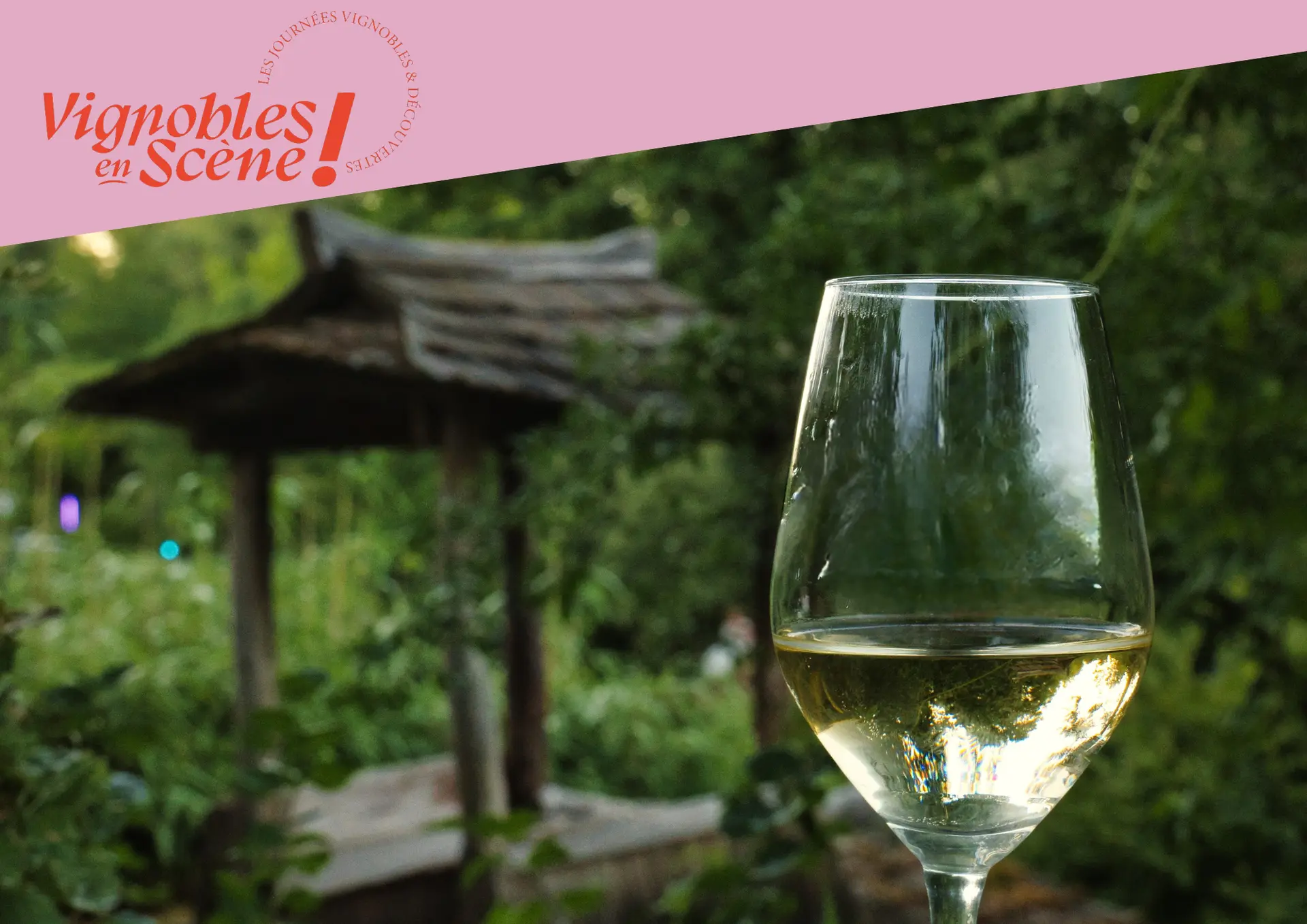 Wine and kawaii