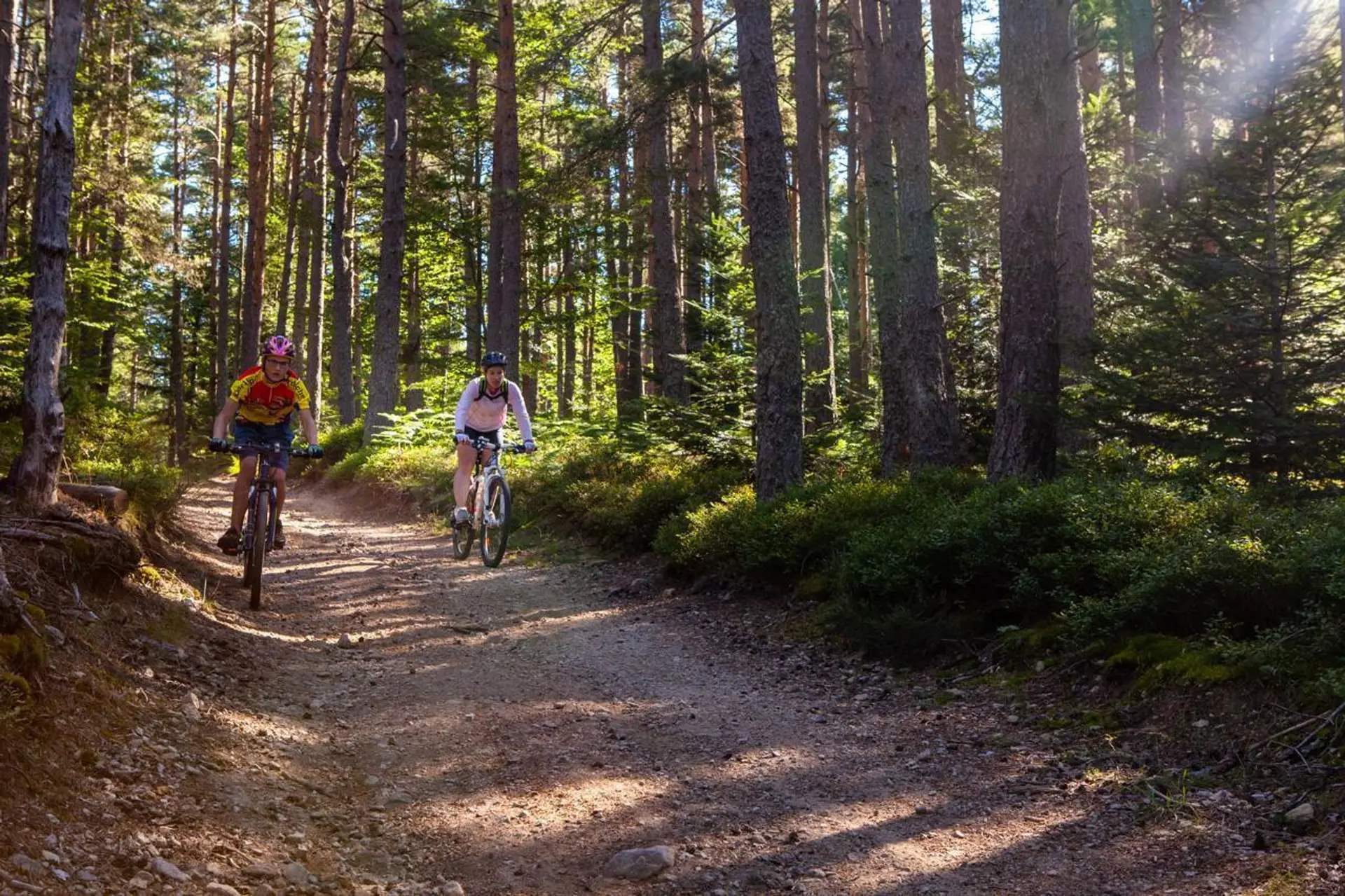 circuit vtt les 3 ponts