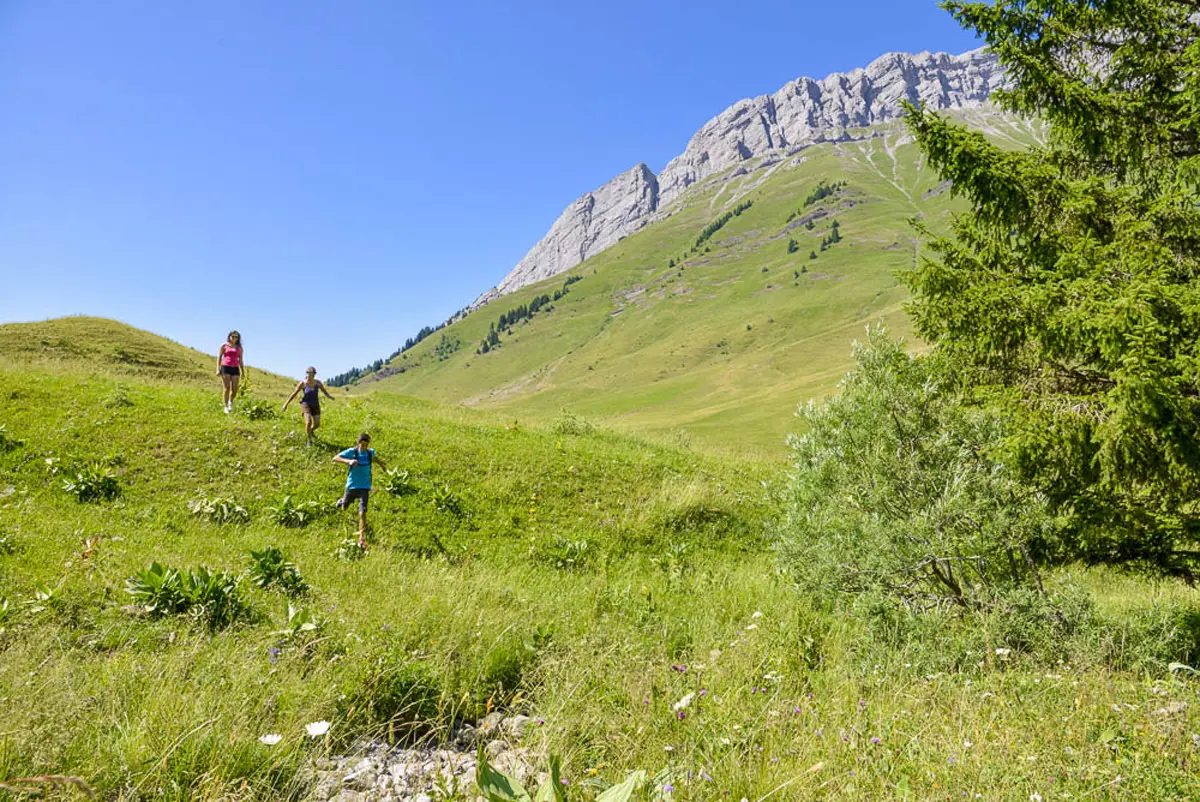 Les Aravis