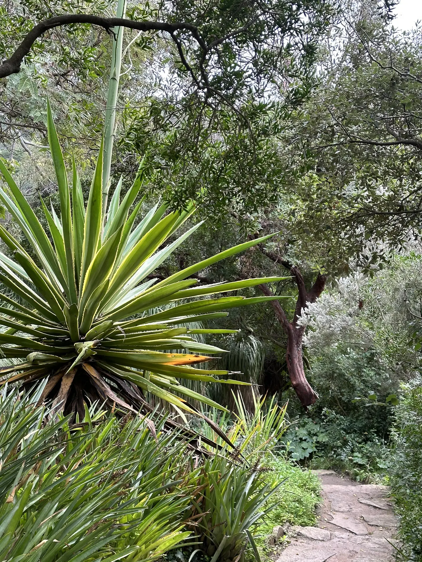 Rdv aux jardins 
