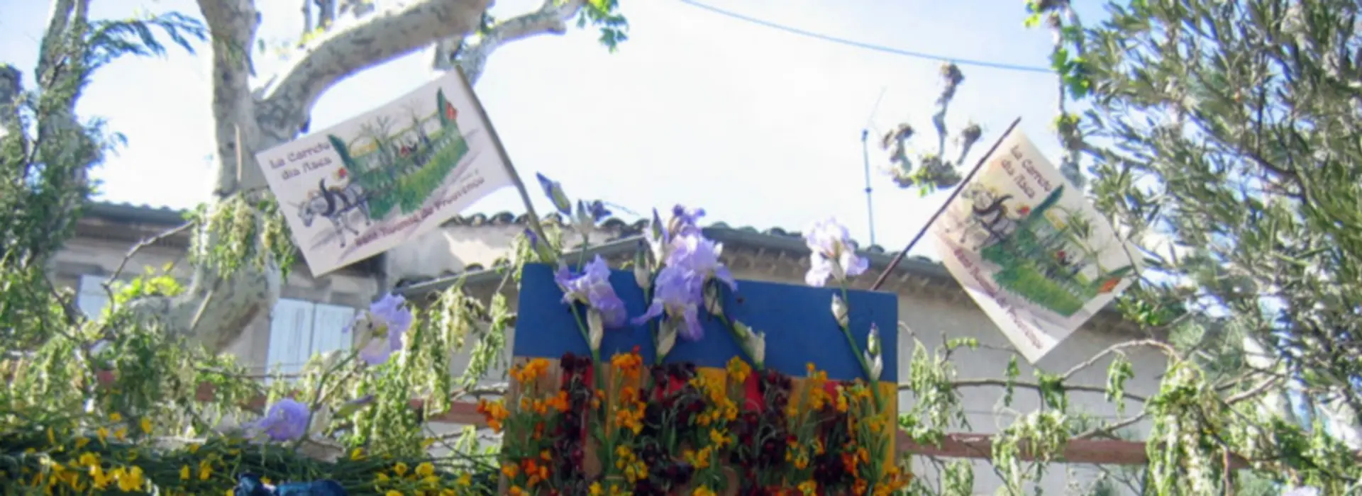 Défilé du 1er mai charrette ânes Saint-Rémy-de-Provence