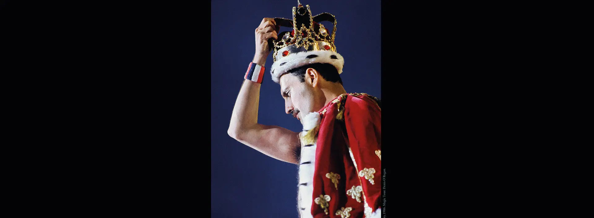 Exposition : Freddie Mercury, ne dis jamais adieu