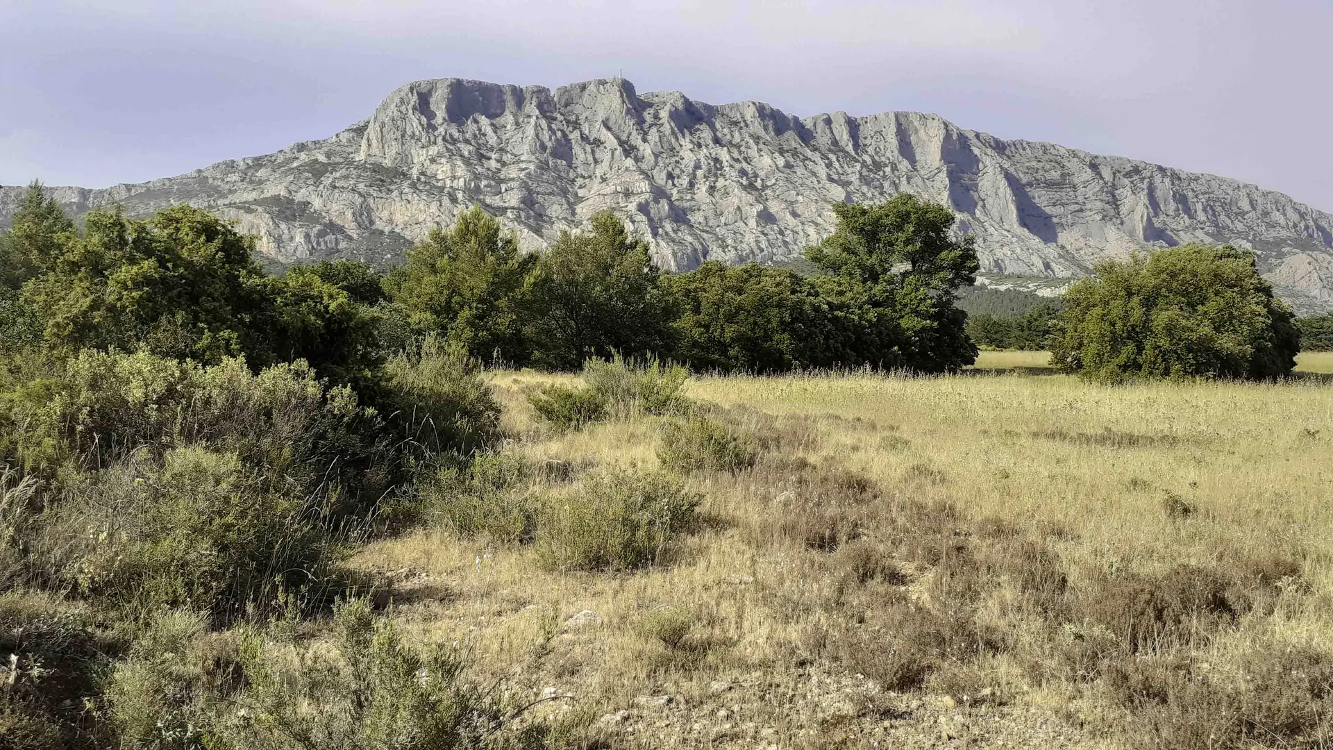 Domaine de Maurély et Sainte Victoire