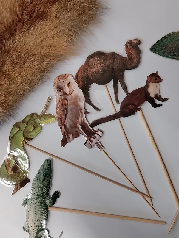 Plumes-poils-ecailles © MHNM