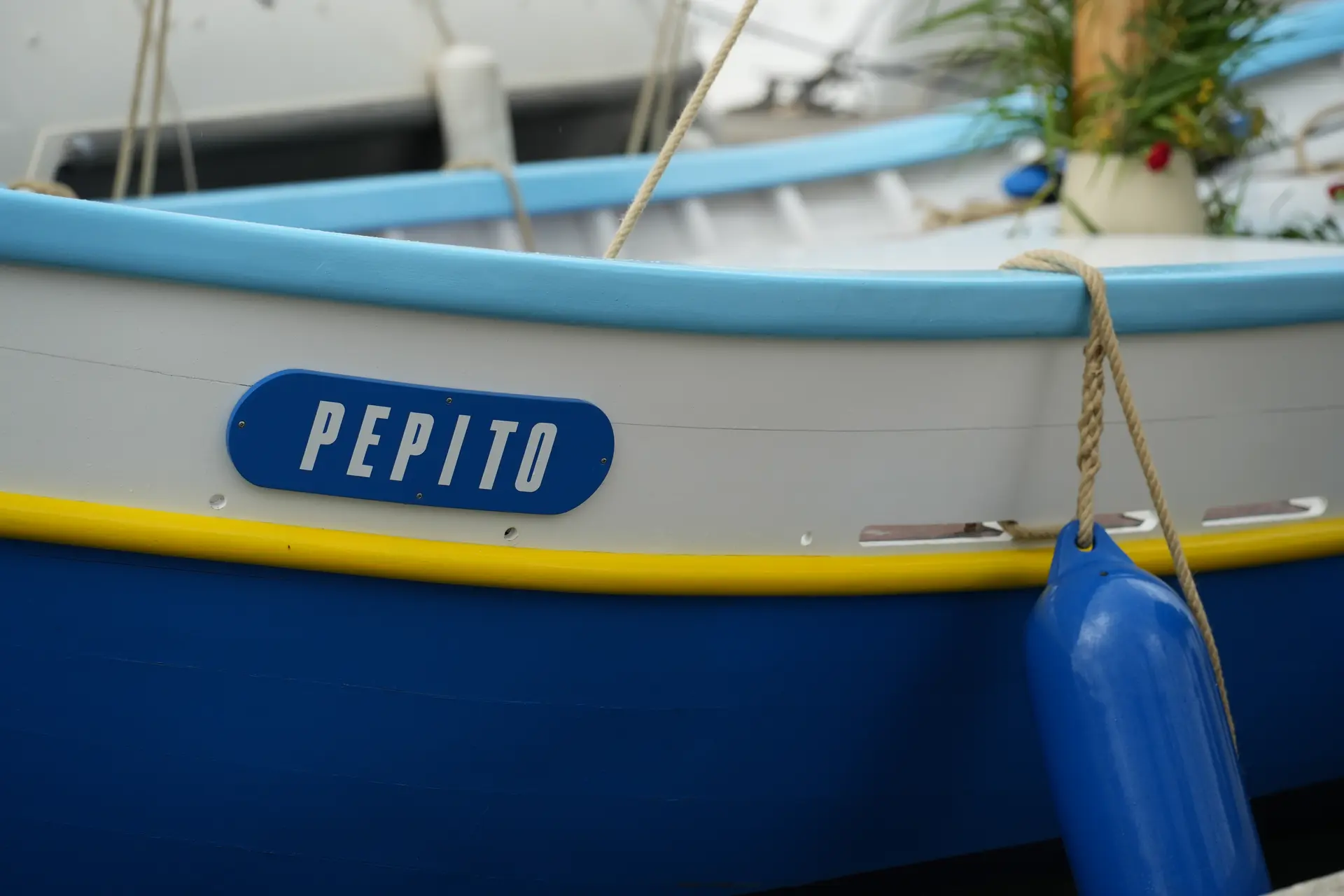 Les animations en Méditerranée Porte des Maures