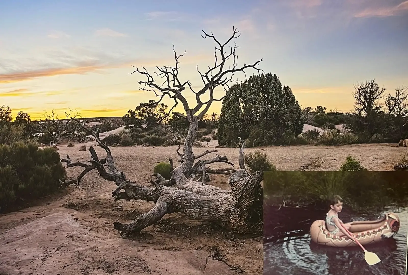 Exposition Cécile Menendez au Domaine de Lagoy_Saint-Rémy-de-Provence