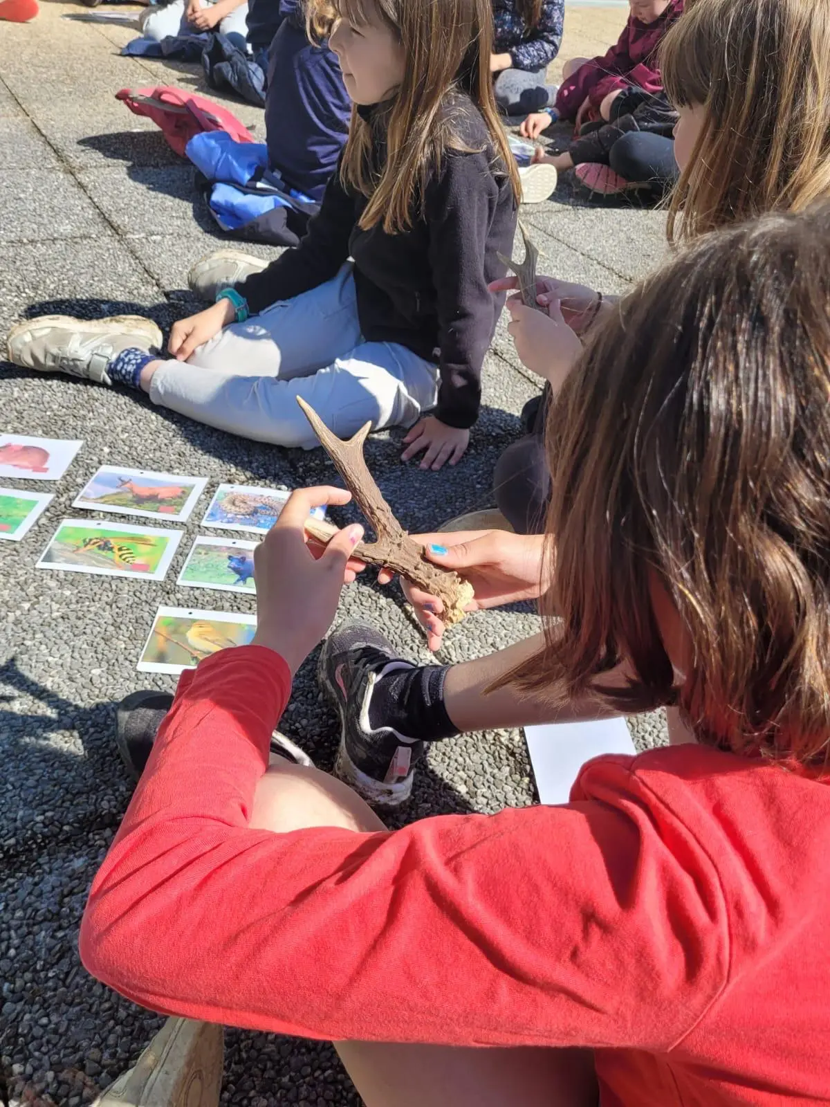 Mission inventaire de la nature