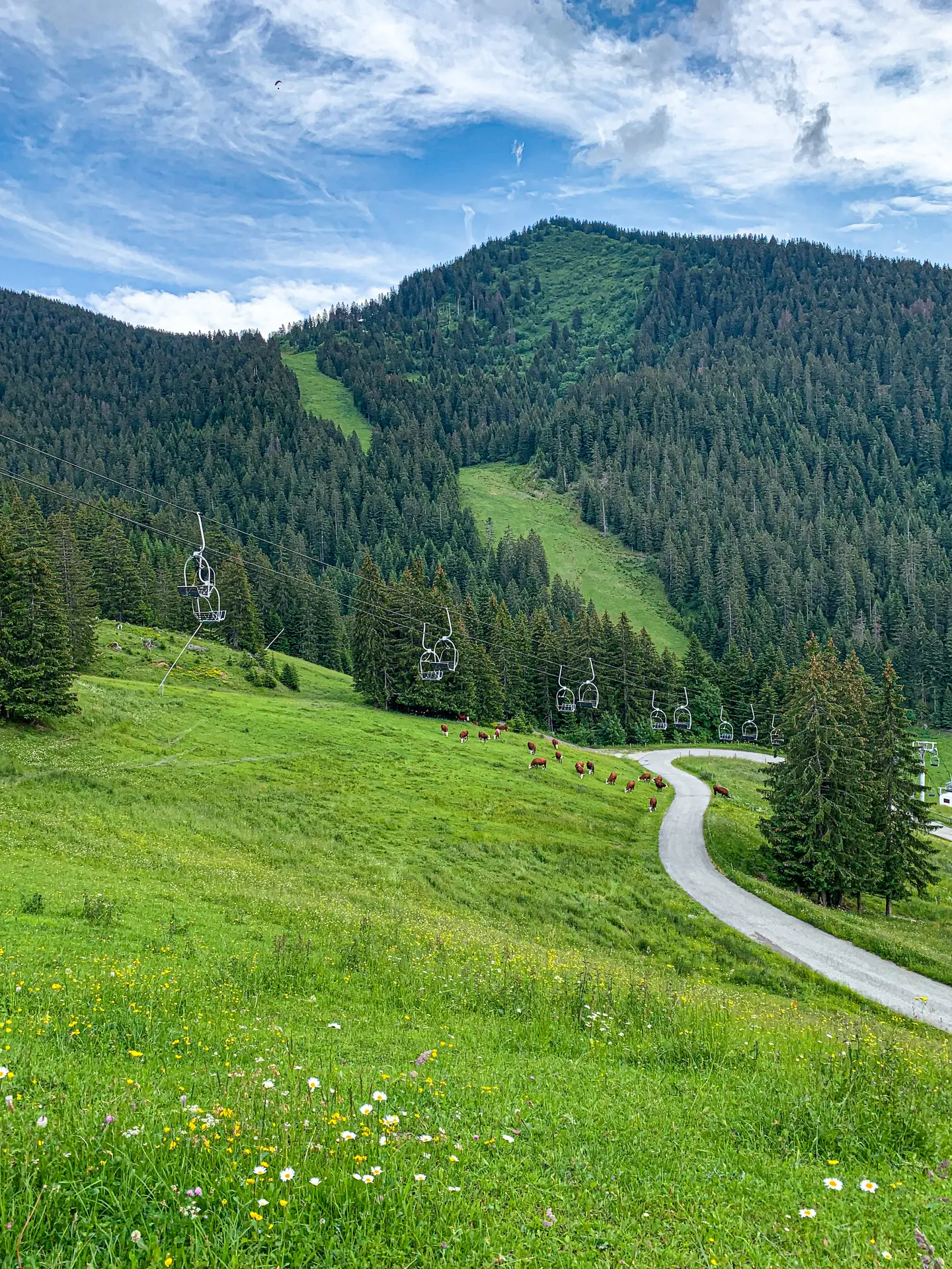 Vue sur les pistes de Braitaz - La Chapelle d'Abondance