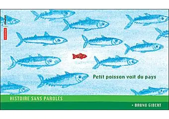 Petit poisson voit du pays_Avignon