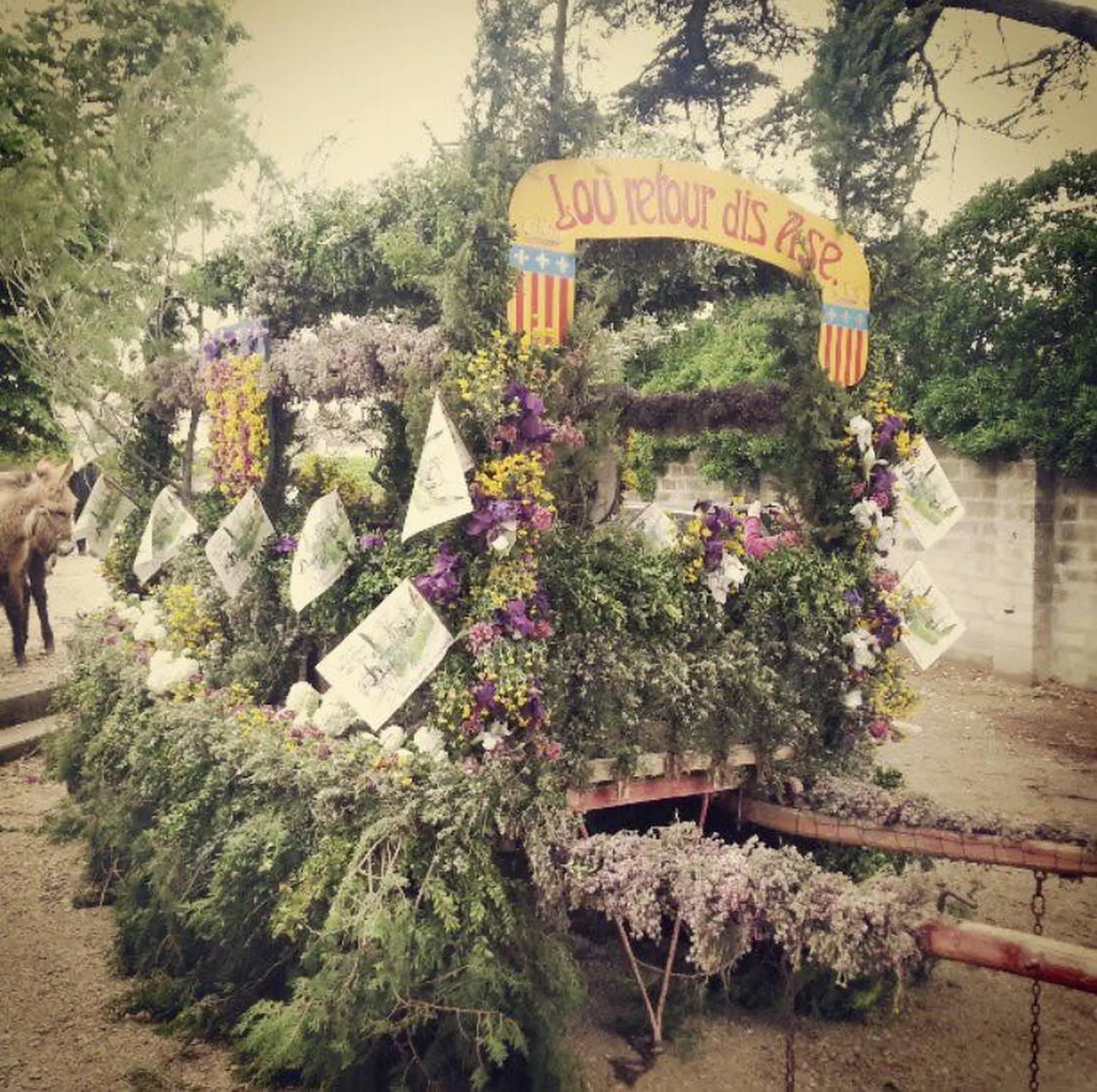 Défilé du 1er mai charrette ânes Saint-Rémy-de-Provence