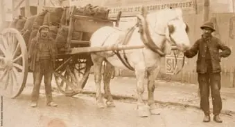 livraison-de-charbon-avec-une-cariole-à-cheval