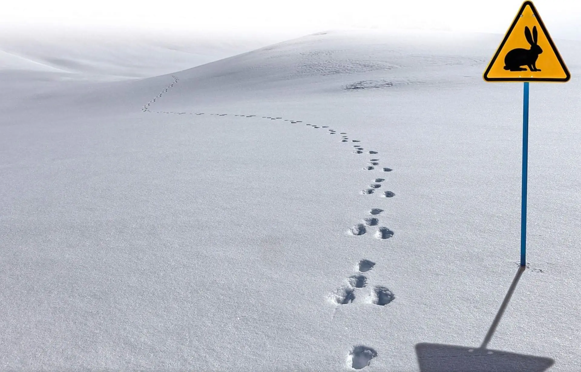 Accompagnez un garde du Parc National