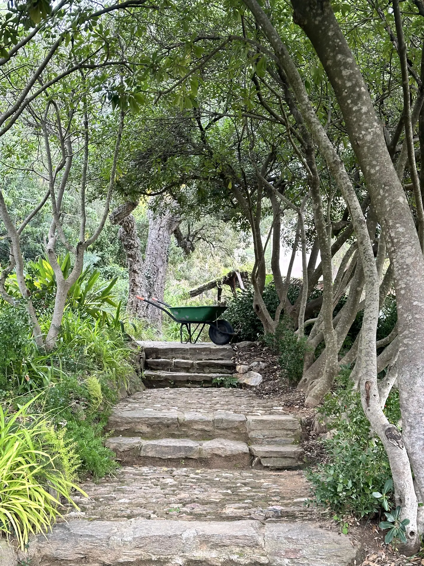 Rdv aux jardins 