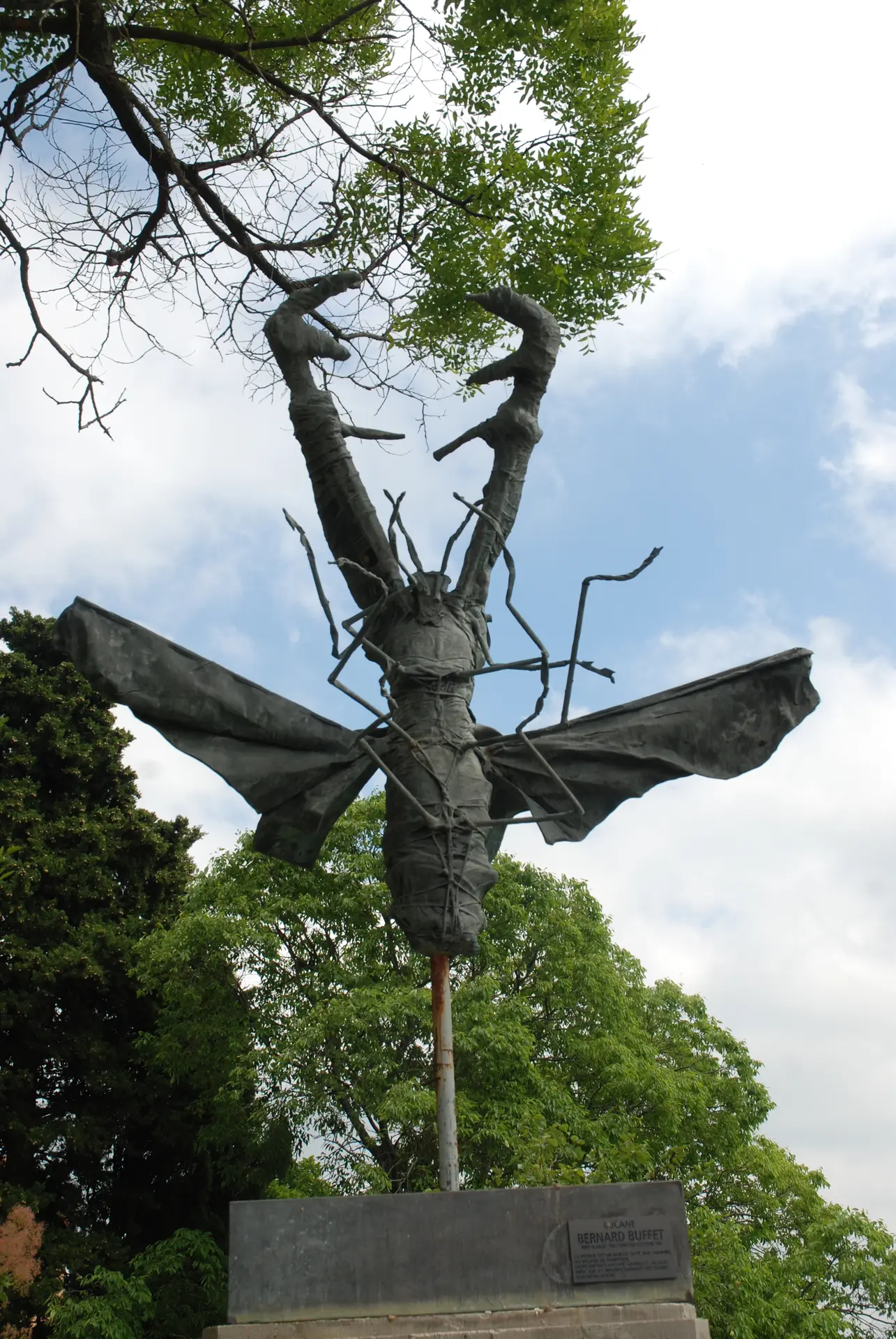 Le Lucane